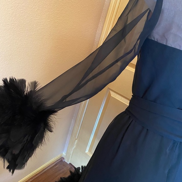 Vintage 1960’s Fantastical dress by Anita mode. Feathers & chiffon size … - Picture 5 of 16